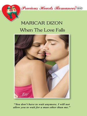 cover image of When the Love Falls